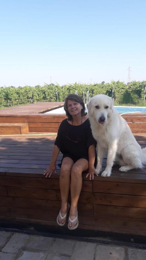 Tenuta Crescentini-Vallemura ,Appartamenti Con Entrata Indipendente San Donà di Piave Exterior foto