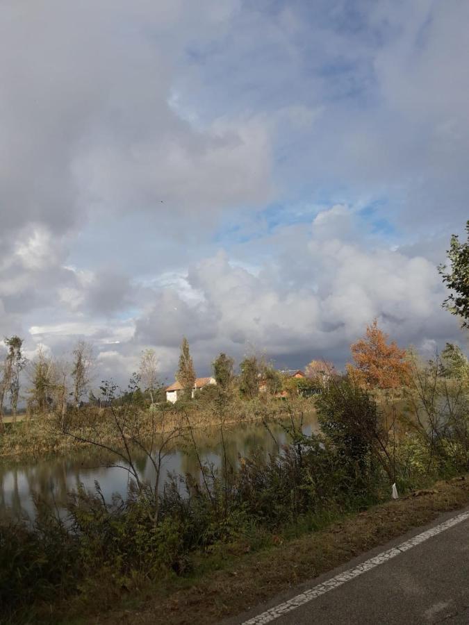 Tenuta Crescentini-Vallemura ,Appartamenti Con Entrata Indipendente San Donà di Piave Exterior foto