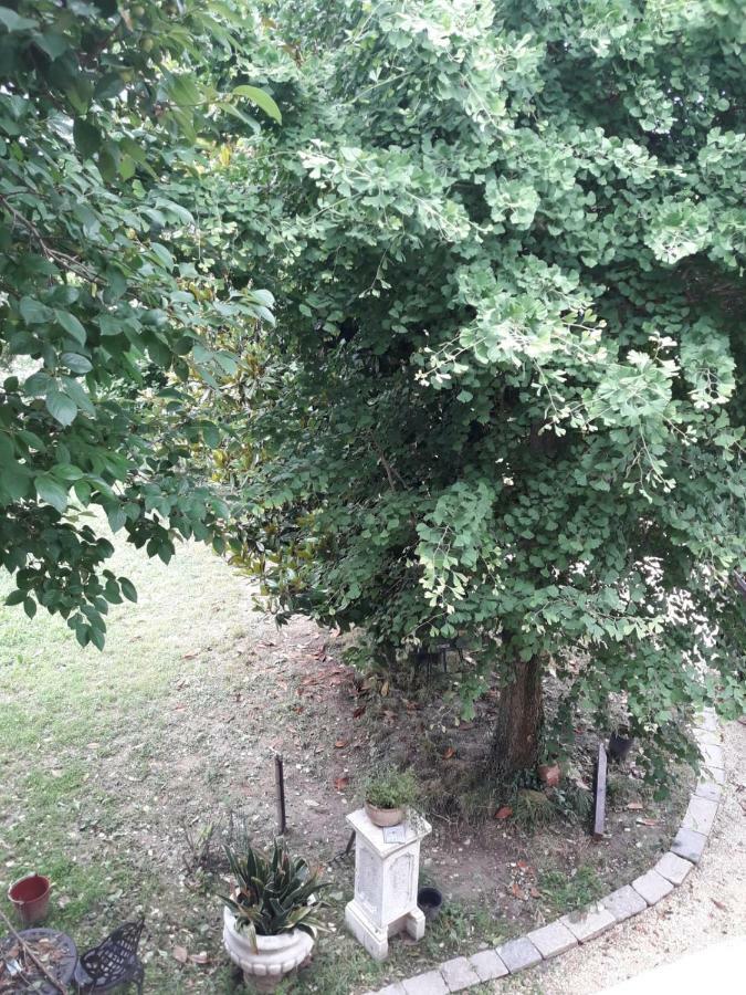 Tenuta Crescentini-Vallemura ,Appartamenti Con Entrata Indipendente San Donà di Piave Exterior foto