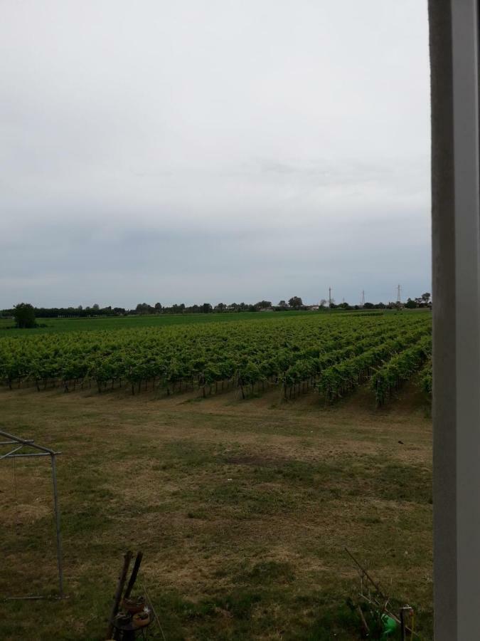 Tenuta Crescentini-Vallemura ,Appartamenti Con Entrata Indipendente San Donà di Piave Exterior foto