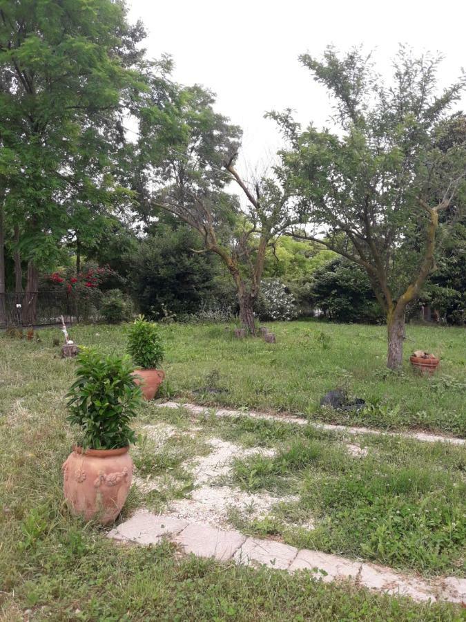 Tenuta Crescentini-Vallemura ,Appartamenti Con Entrata Indipendente San Donà di Piave Exterior foto