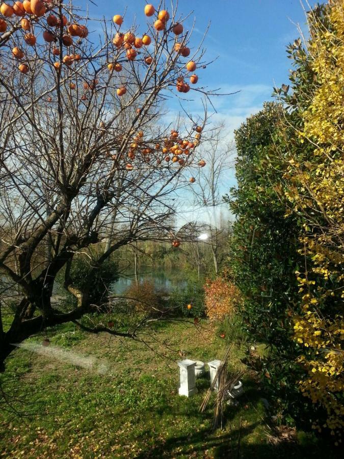 Tenuta Crescentini-Vallemura ,Appartamenti Con Entrata Indipendente San Donà di Piave Exterior foto