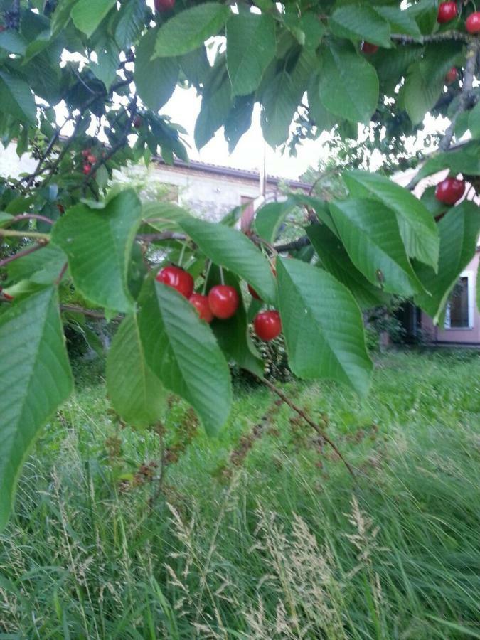 Tenuta Crescentini-Vallemura ,Appartamenti Con Entrata Indipendente San Donà di Piave Exterior foto